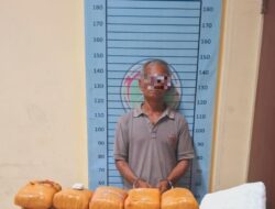 Bawa 10 Bungkus Ganja, Pria Paruh Baya Ditangkap di Ketambe