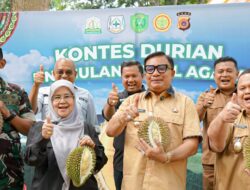 Kontes Durian Unggulan Lokal Agara Meriahkan Jelang HUT RI ke-80