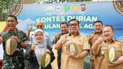 Kontes Durian Unggulan Lokal Agara Meriahkan Jelang HUT RI ke-80