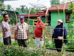 Bupati Aceh Tenggara Tinjau Kesiapan Desa Binaan Gammawar