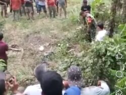 Penemuan Tengkorak Manusia Gemparkan Aceh Tenggara