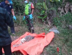 Penemuan Tengkorak Manusia di Aceh Tenggara, Polisi Lakukan Penyelidikan