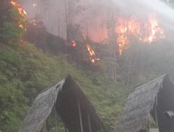 Lebih 2 HA Lahan Warga Terbakar, Penyebab Masih Diselidiki