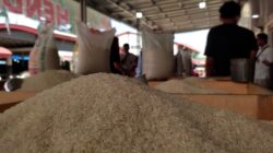 Harga Beras