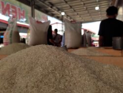 Harga Beras di Banda Aceh Turun Rp5.000-Rp10.000 per Karung