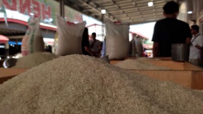 Harga Beras