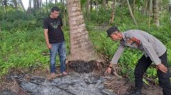 Pria di Seunuddon Bakar Diri Dipicu Pertengkaran Rumah Tangga