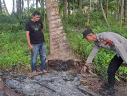 Pria di Seunuddon Bakar Diri Dipicu Pertengkaran Rumah Tangga