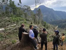 Polisi Tangkap Reje Terkait Perambahan Hutan Lindung Bur Kelieten
