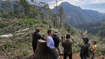 Polisi Tangkap Reje Terkait Perambahan Hutan Lindung Bur Kelieten
