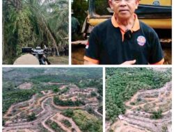 ‘Reforestasi’ dan Penumbangan harus Berkelanjutan, LembAHtari dan KJL Dukung Azas ‘Ultimum Remedium’
