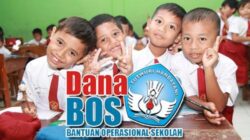 Dana BOS