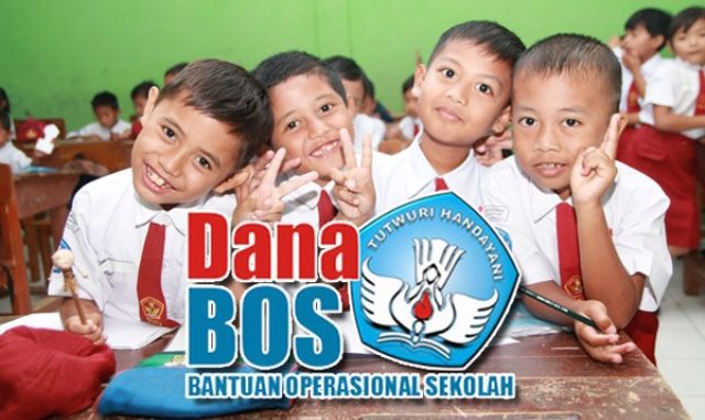Dana BOS