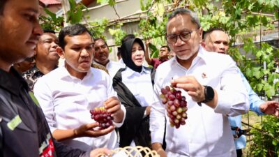 Menko Bidang Pangan Tinjau KDMP di Banda Aceh