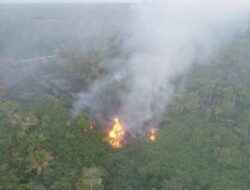 12 Hektare Lahan di Aceh Barat Terbakar