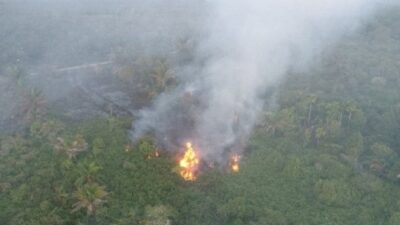 12 Hektare Lahan di Aceh Barat Terbakar