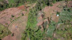 Polisi Selidiki Dugaan Perambahan Hutan di Bireuen