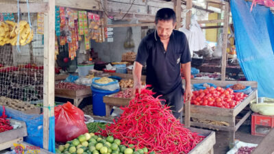 Harga Cabai di Meulaboh