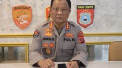 Joko Krisdiyanto