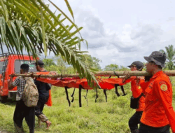 Lansia yang Hilang di Hutan Berhasil Dievakuasi