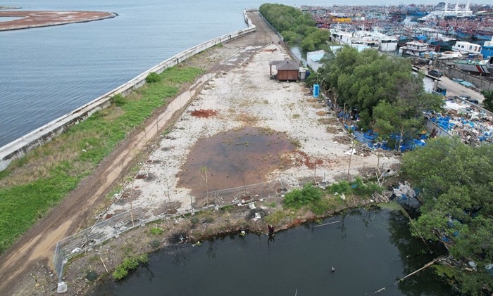 Tanggul Laut