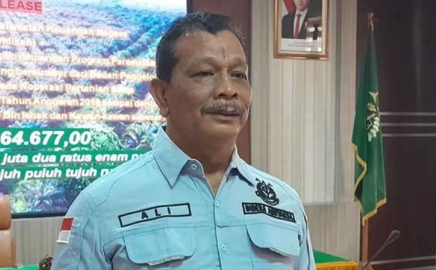 Ali Rasab Lubis