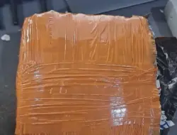 Polisi Amankan Paket Ganja 2 Kg di Bandara SIM