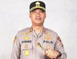 Polisi Musnahkan Ratusan Batang Ganja di Gayo Lues