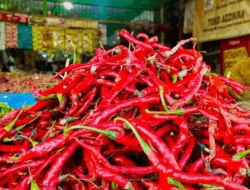 Harga Cabai Merah Meroket, Hari Ini Tembus Rp90 Ribu per Kg
