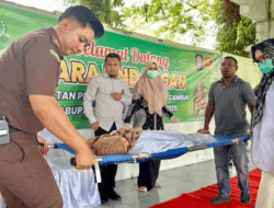 Satu Terpidana Zina Pingsan usai Dihukum 100 Kali Cambuk