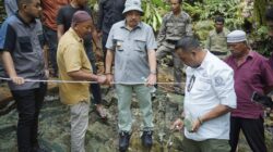 Batu Giok 5.000 Ton yang Ditemukan di Nagan Raya akan Digunakan untuk Bangun Masjid
