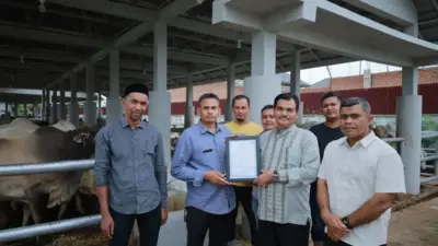 RPH Lambaro
