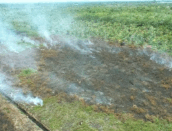 Karhutla di Aceh Barat Meluas Hingga 2,3 Ha