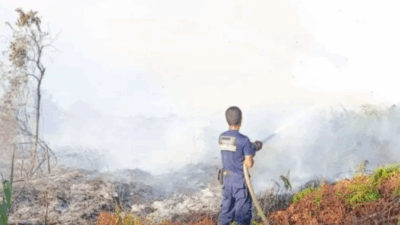 Kebakaran Lahan di Aceh Barat Meluas Hingga 1 Hektare