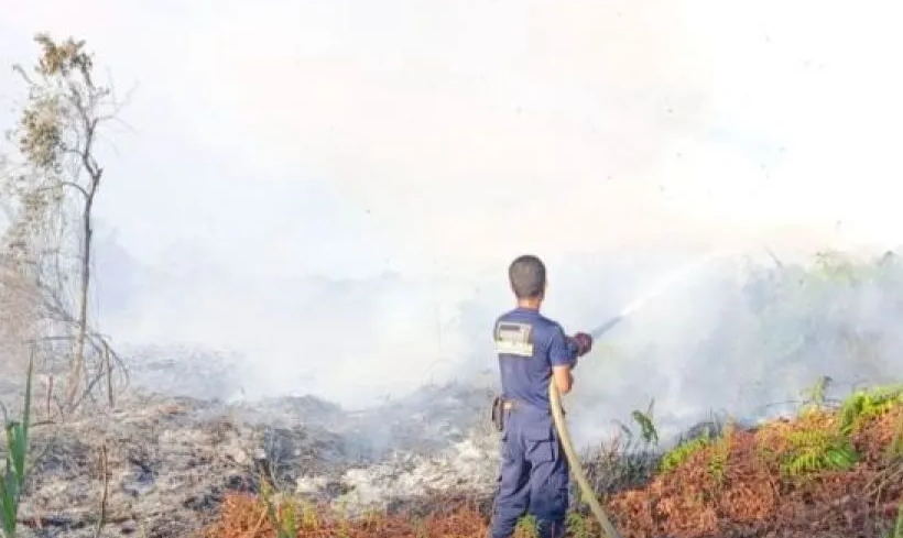 Karhutla Aceh Barat