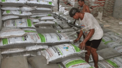 Harga Pupuk Turun