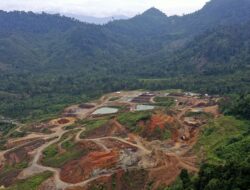 Data DJP: Hanya 45 dari 700 Perusahaan Tambang di Aceh yang Bayar Pajak