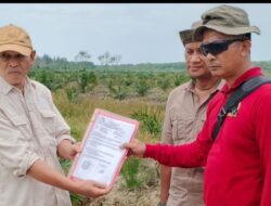 Perambah Hutan Bakau Menggila di Tamiang, KPH Wilayah III Mati Suri