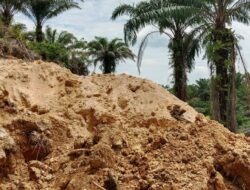 Dinas Pertanian Subulussalam Minta PT Laot Bangko Hentikan Pembuatan Parit Gajah