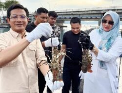 Irwansyah Kagumi Anak Muda Banda Aceh Sukses Ekspor Lobster