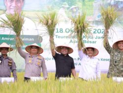 Panen Padi di Terbeh, Momentum Penguatan Lumbung Pangan Aceh Besar