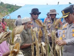 Kapolres Lhokseumawe: Panen Jagung Bukti Sinergi Polri dan Petani