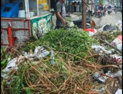 DLH Aceh Tamiang Imbau Masyarakat Ciptakan Wajah Kota yang Bersih