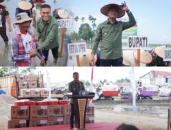 Pemkab Abdya Gencarkan Tanam Padi Serentak, Tingkatkan Produksi 2025