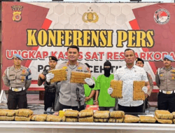 Polisi Tangkap Dua Kurir yang Bawa Ganja 67 Kg