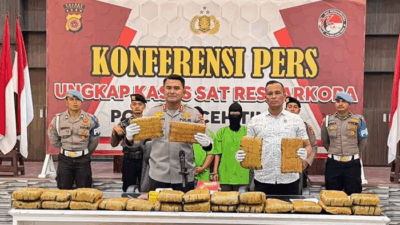 Polisi Tangkap Dua Kurir yang Bawa Ganja 67 Kg