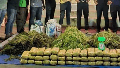 Polisi Tangkap Petani Ganja di Bireuen