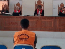 Hakim Vonis Terdakwa Penjual Gading 1 Tahun 3 Bulan Penjara