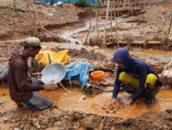 PT Antam Siap Tampung Emas dari Tambang Rakyat