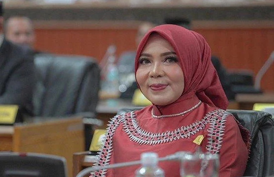 Komisi III DPR Aceh Dukung Proyek Terowongan Geurutee